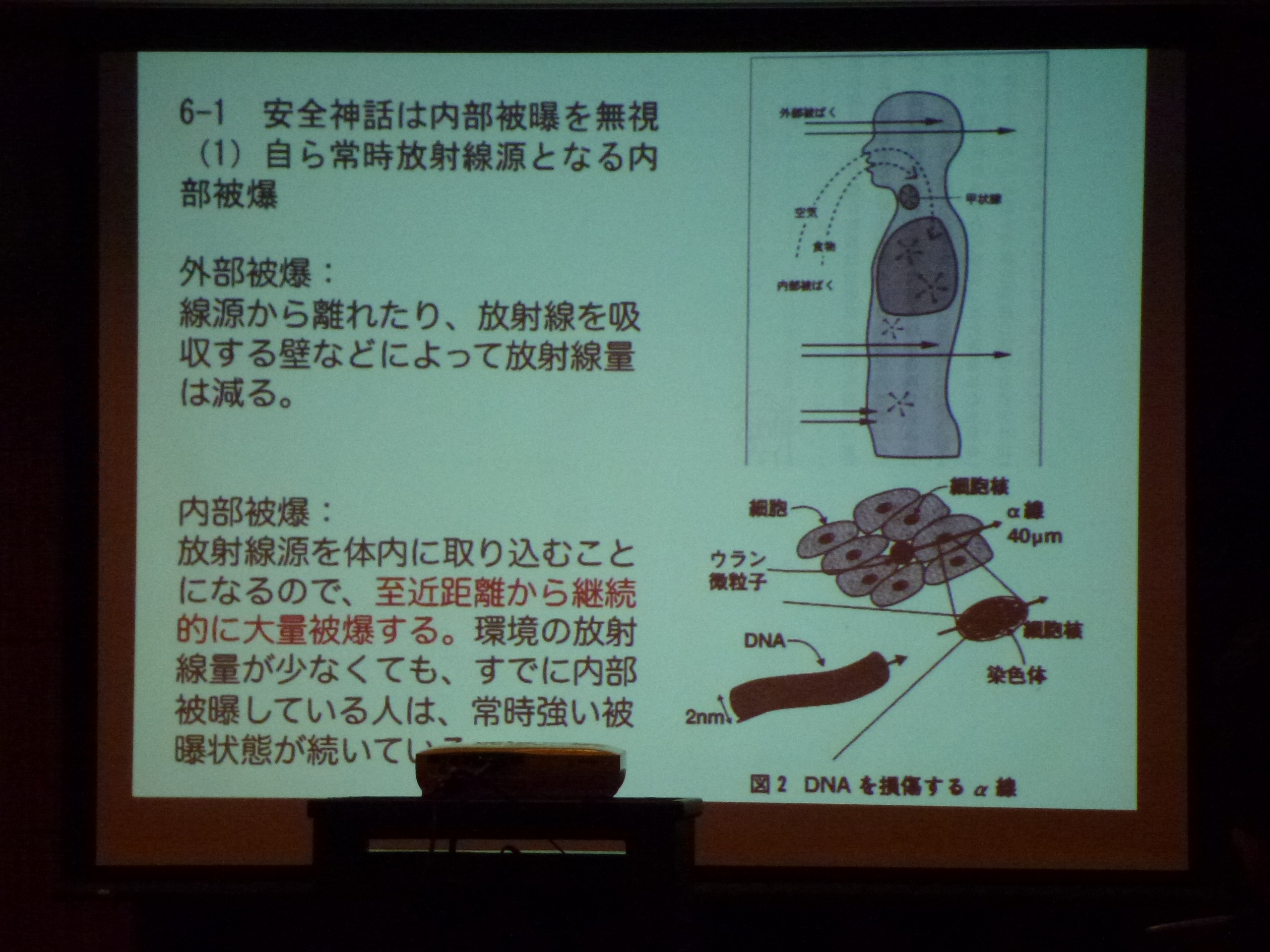 P1020720.JPG