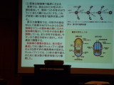 img0088.jpg