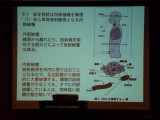 img0089.jpg