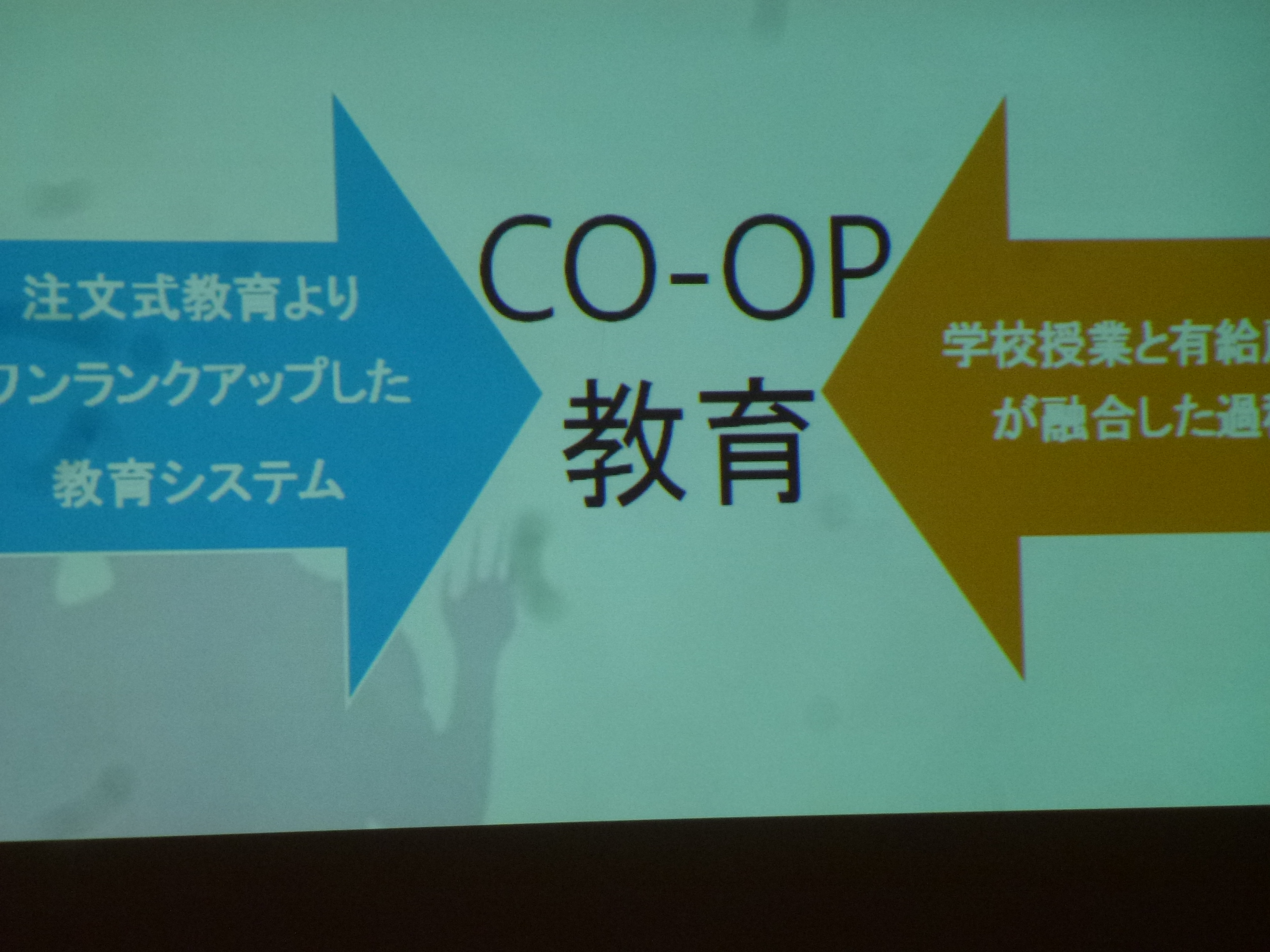 P1090063.JPG
