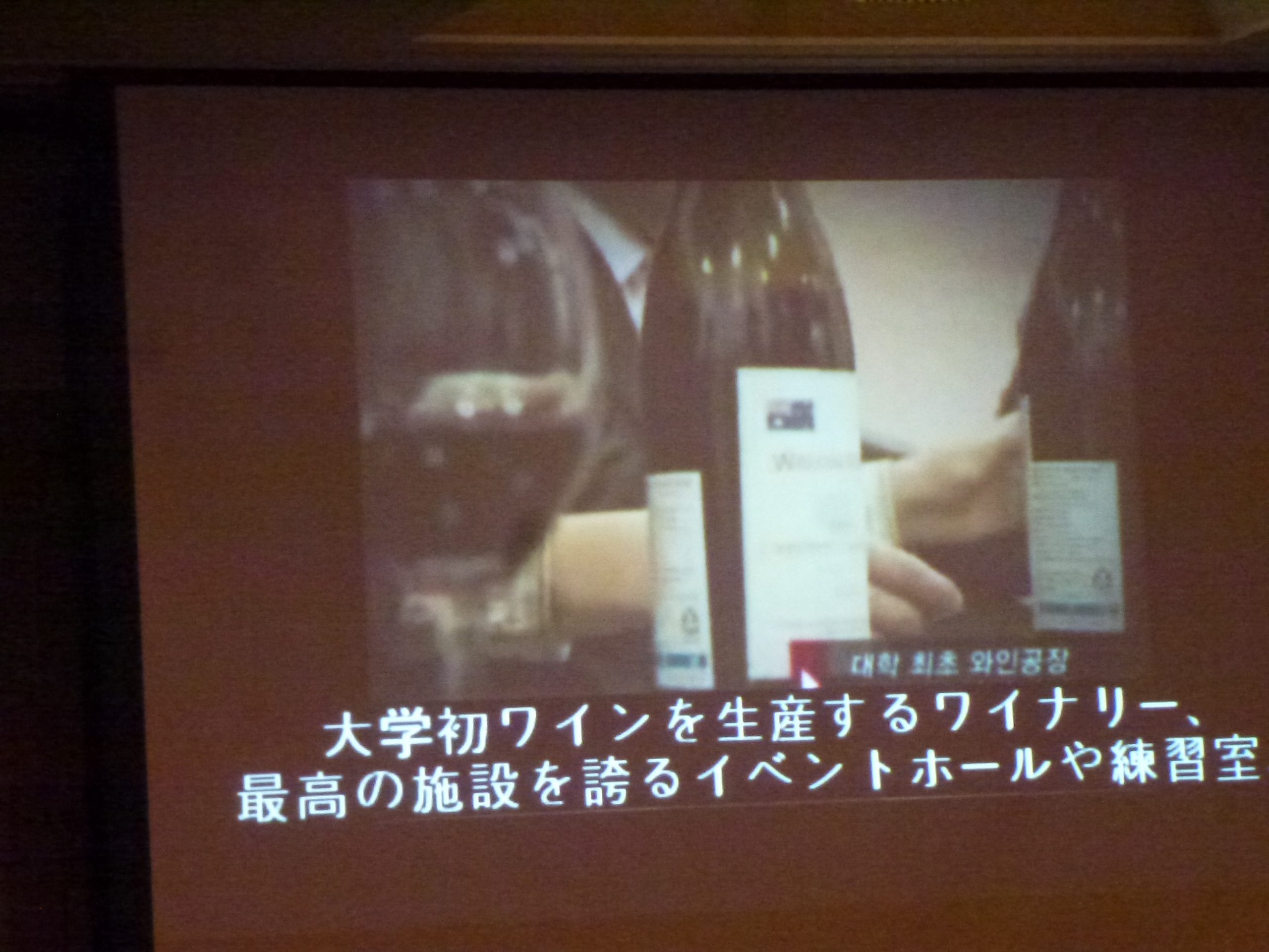 P1090083.JPG
