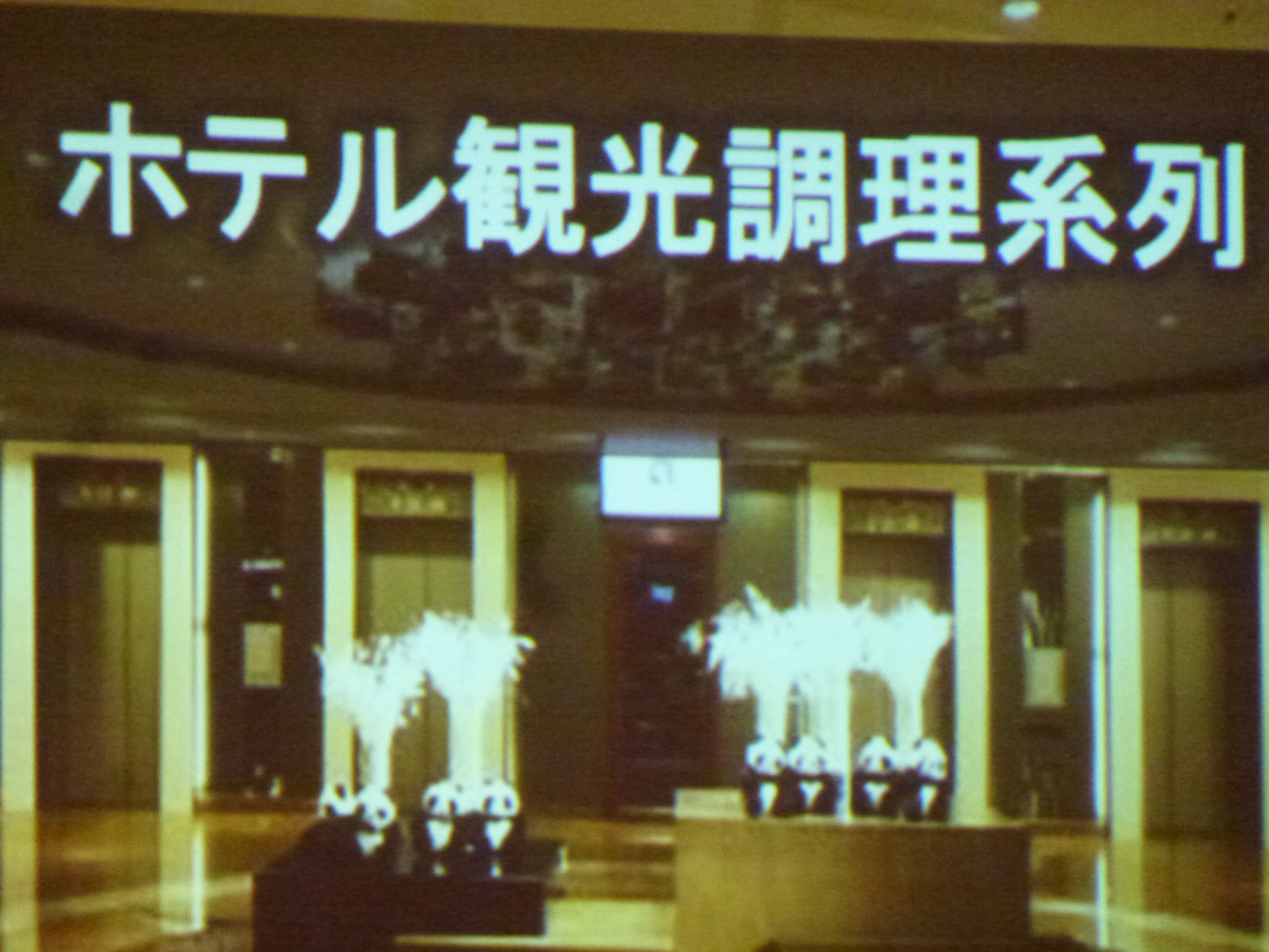 P1090108.JPG