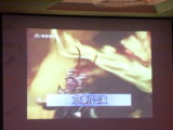 img0029.jpg